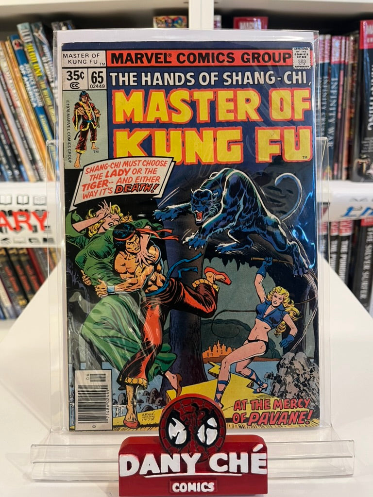 MASTER OF KUNG FU #65