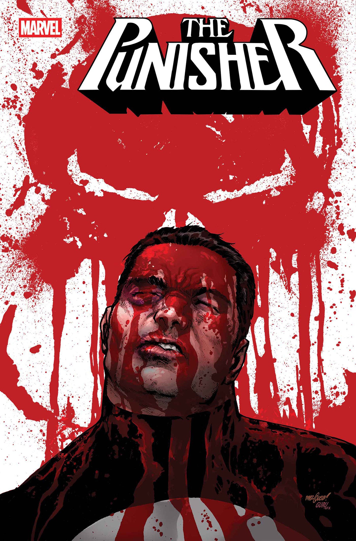 PUNISHER #6 MAIN CVR