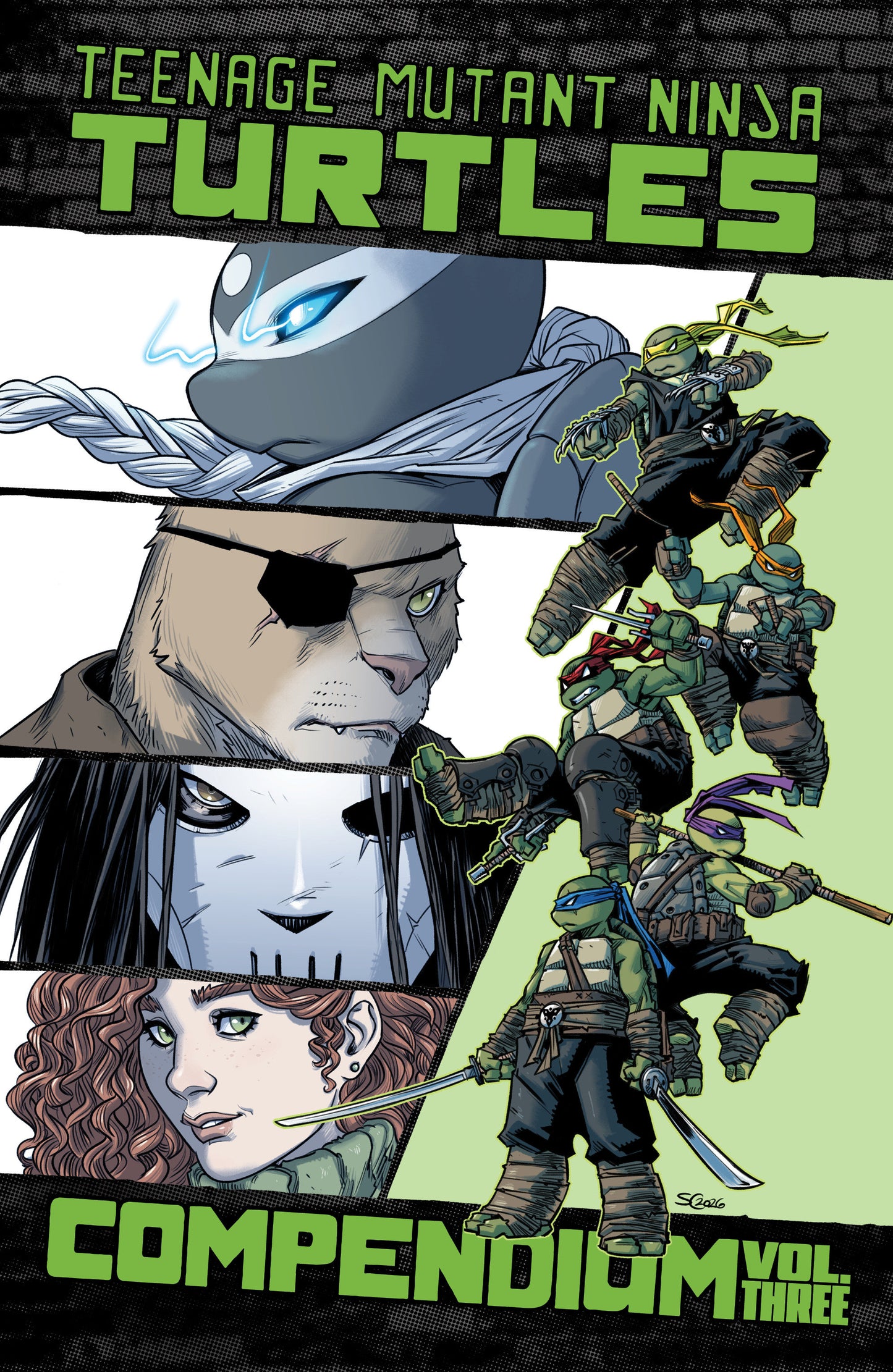 Teenage Mutant Ninja Turtles: Ongoing Compendium, Vol. 3 (TP)
