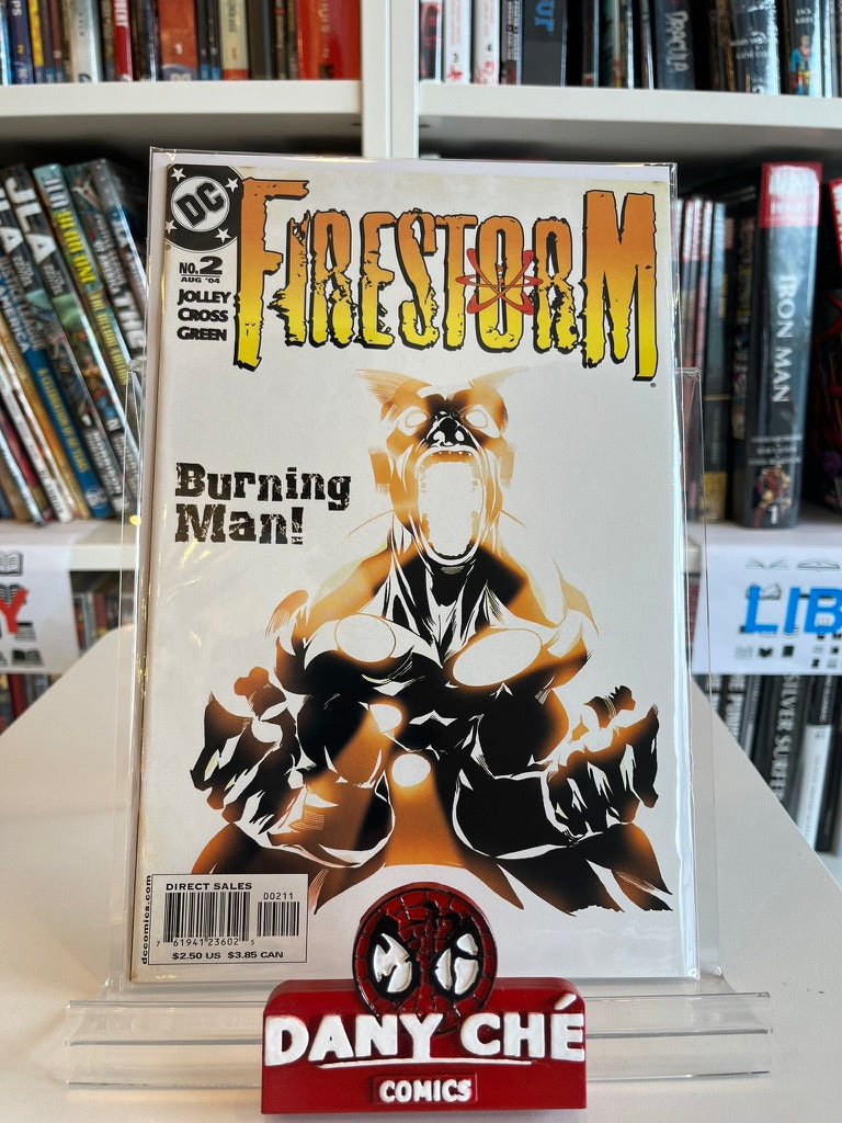 FIRESTORM #2 MAIN CVR