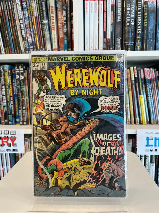 Werewolf By Night #36