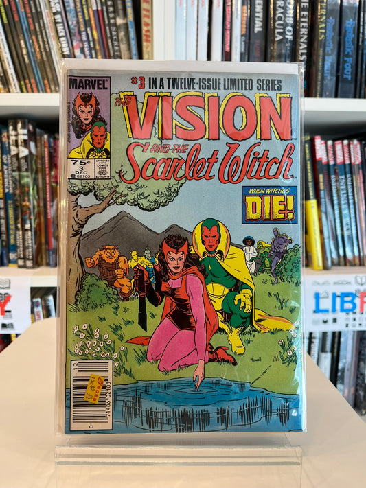 The Vision and The Scarlet Witch #3