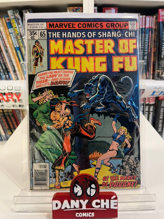 MASTER OF KUNG FU #65