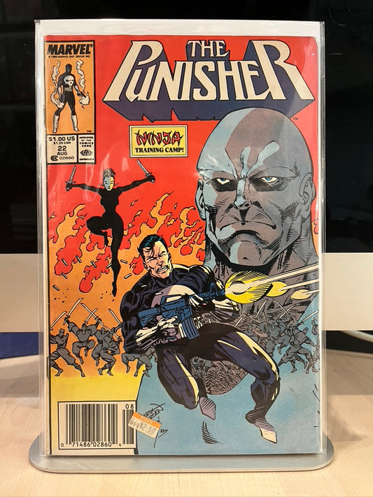 The Punisher #22