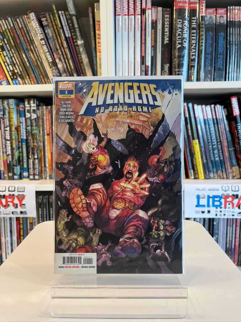 Avengers : No Roads Home