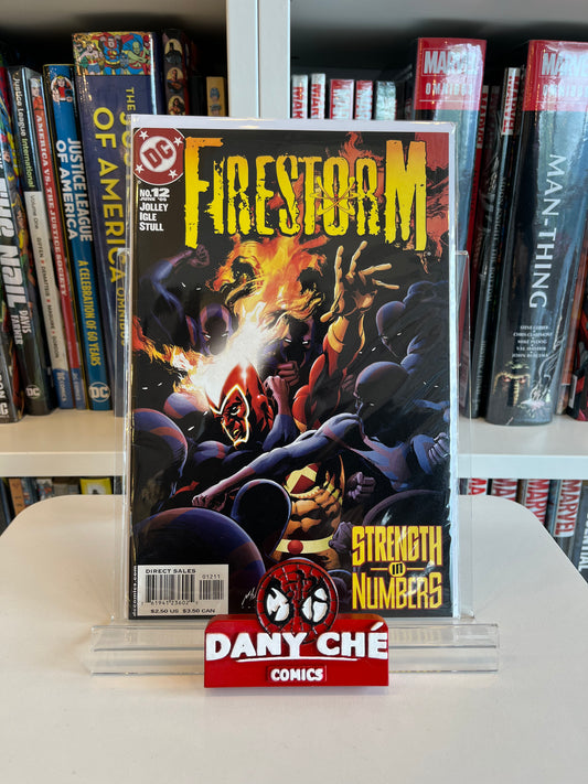 FIRESTORM (2004) #12