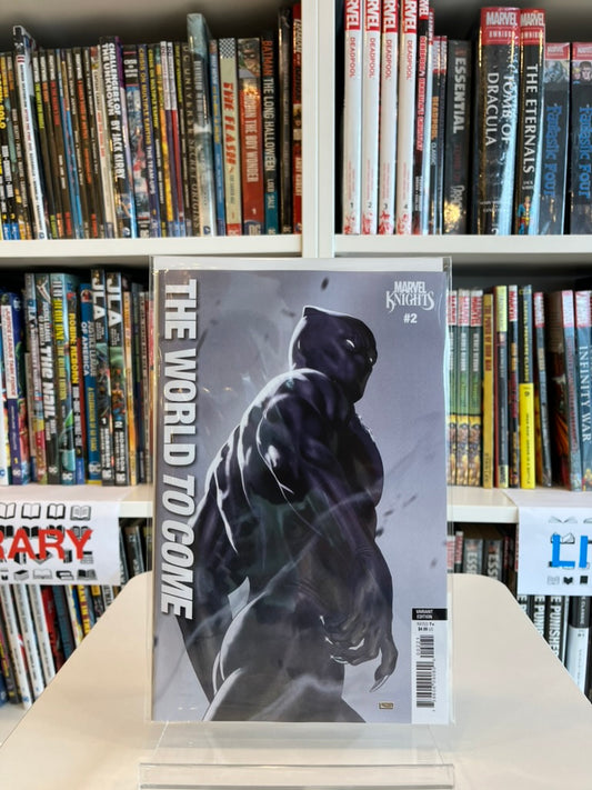 Marvel Knights: The World To Come #2 (Taurin Clarke Var)