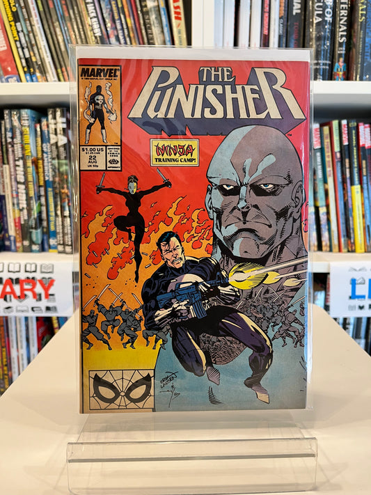 The Punisher #22