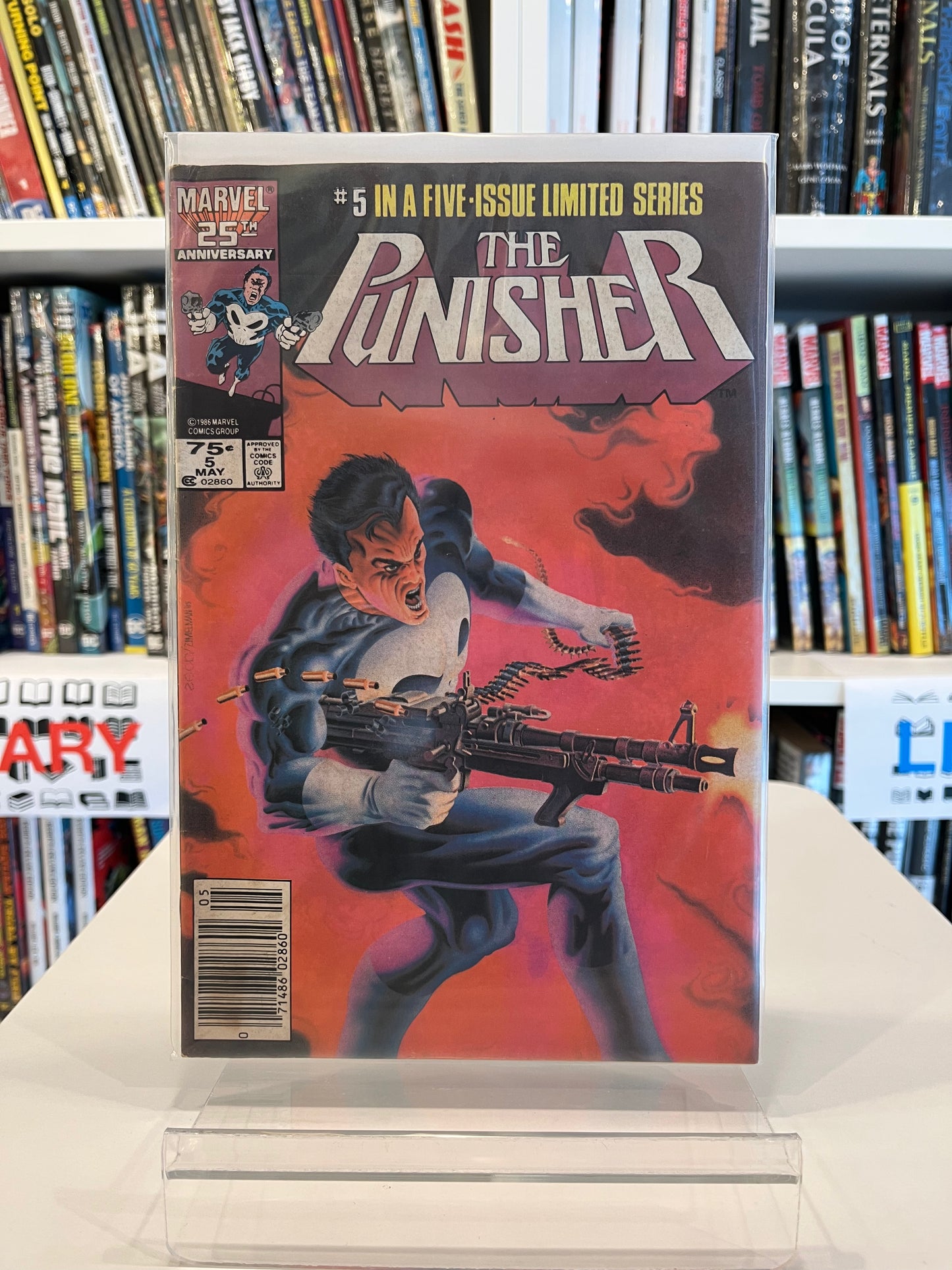 The Punisher #5
