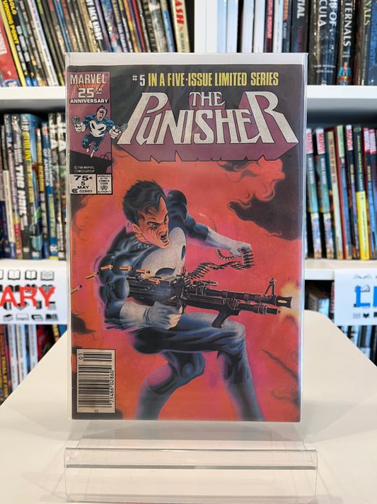 The Punisher #5