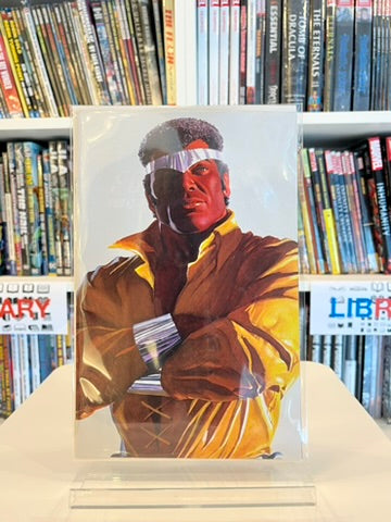 Power Man: Timeless #4 (Alex Ross - Timeless Virgin Var)