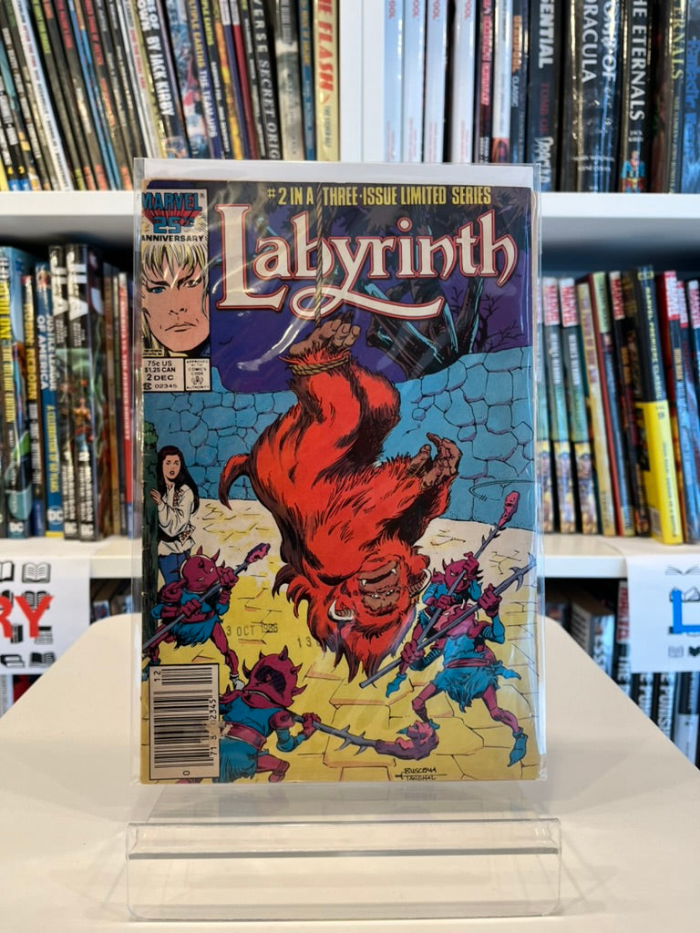 Labyrinth #2