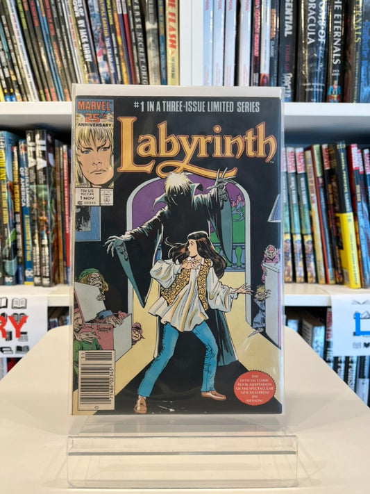 Labyrinth #1
