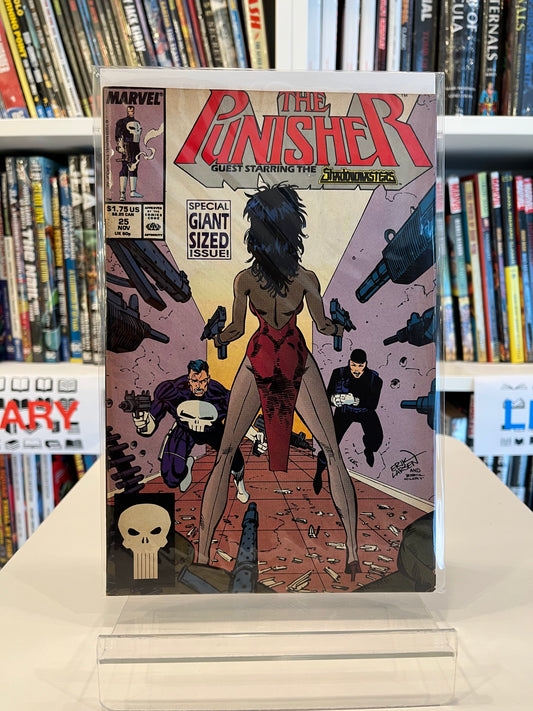 The Punisher #25