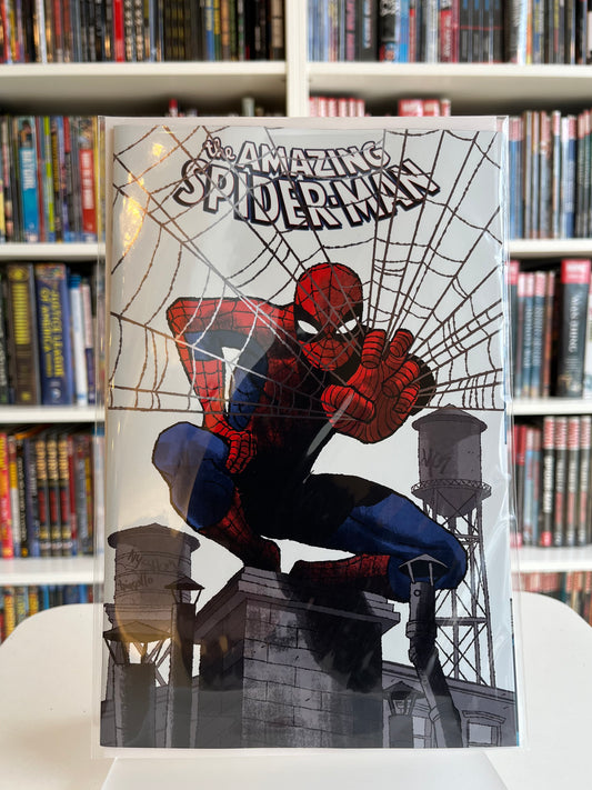 Amazing Spider-Man #1 (Mark Chiarello-Foil Var)