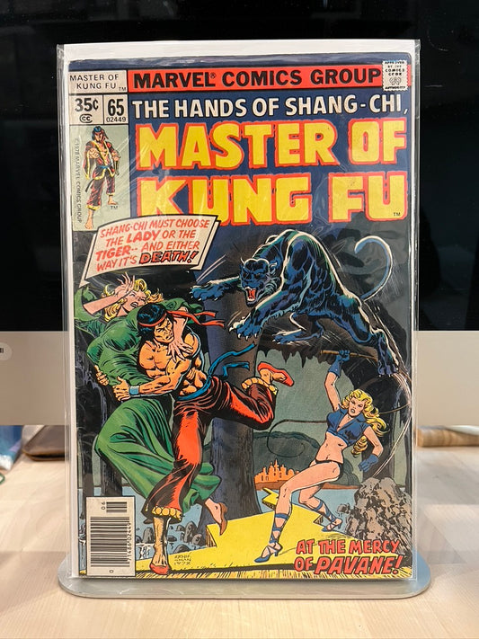 Master Of Kung Fu #65