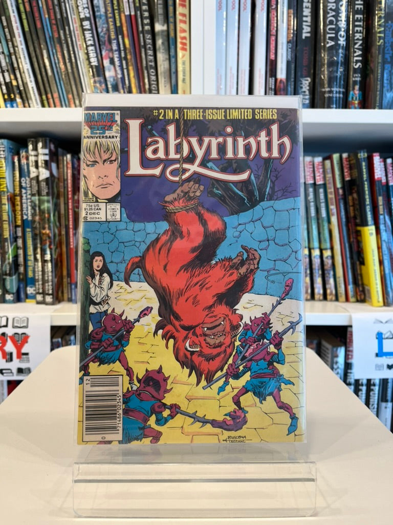 Labyrinth #2
