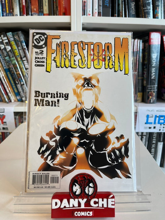 FIRESTORM #2 MAIN CVR