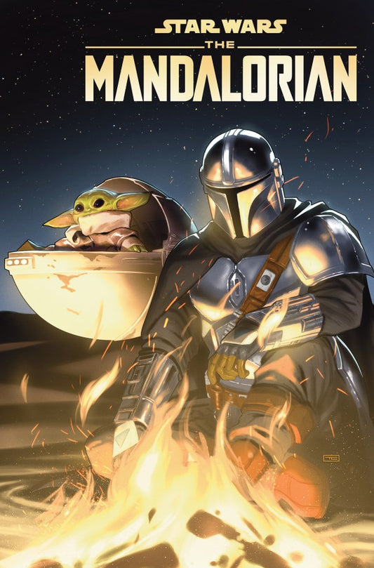 STAR WARS: THE MANDALORIAN - SEASONS ONE & TWO (TP)
