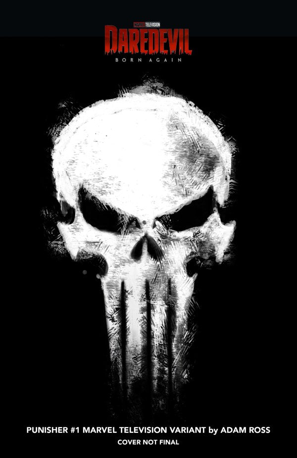 PUNISHER #1 MARVEL ADAM ROSS TELEVISION LOGO VAR