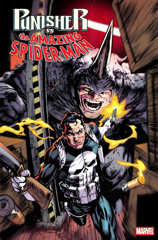 PUNISHER VS. SPIDER-MAN #3 MAIN CVR