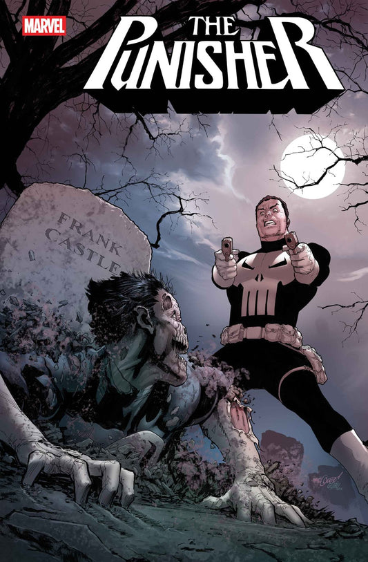 PUNISHER #3 MAIN CVR